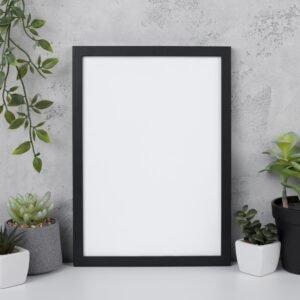 Frame test