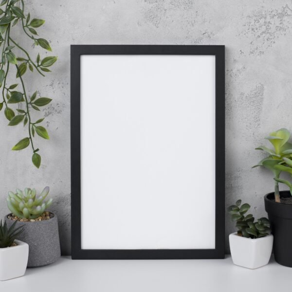 Frame test